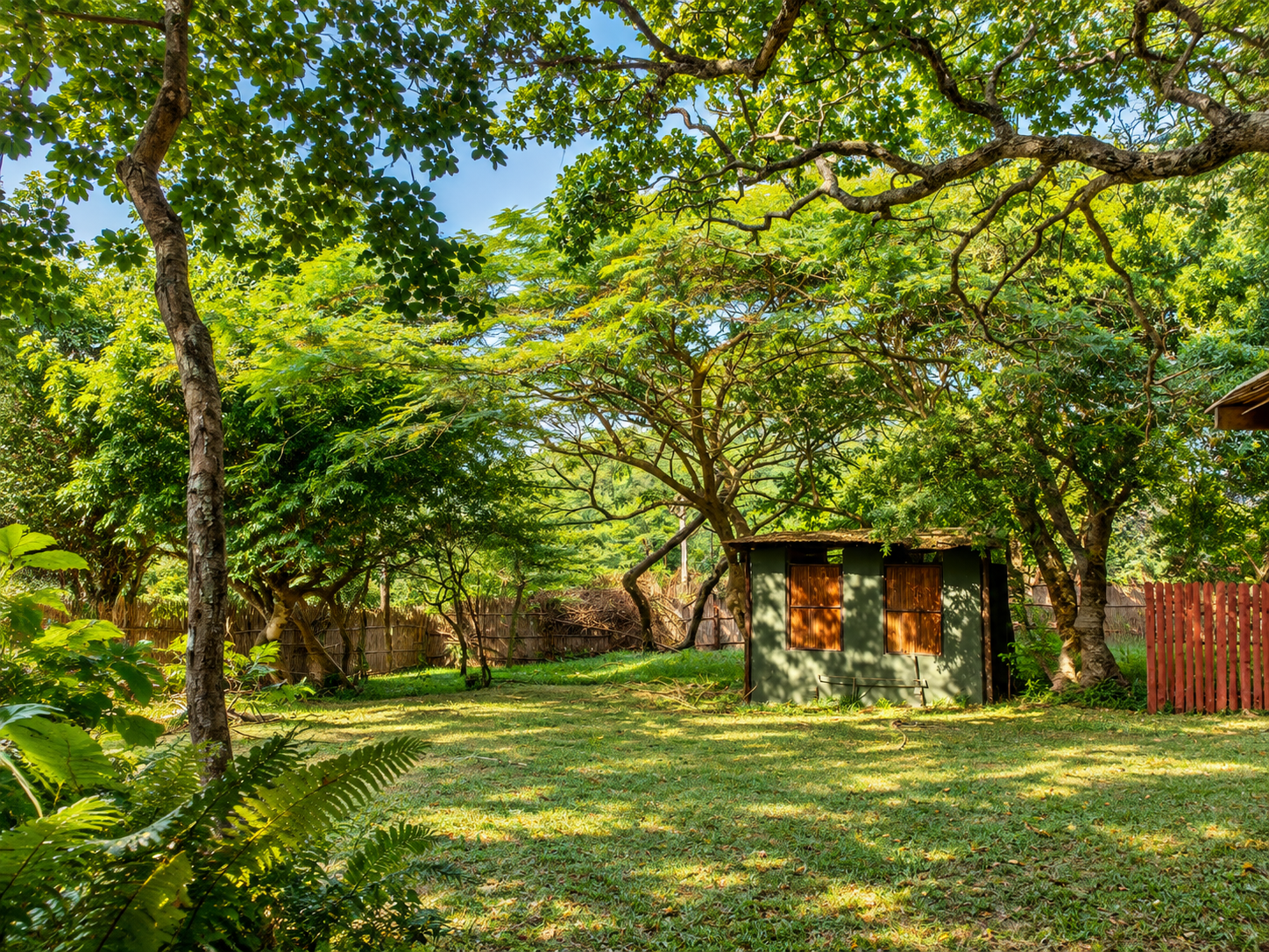 Shaded open camping area at the Gala-Gala Camping Extension next to the main resort