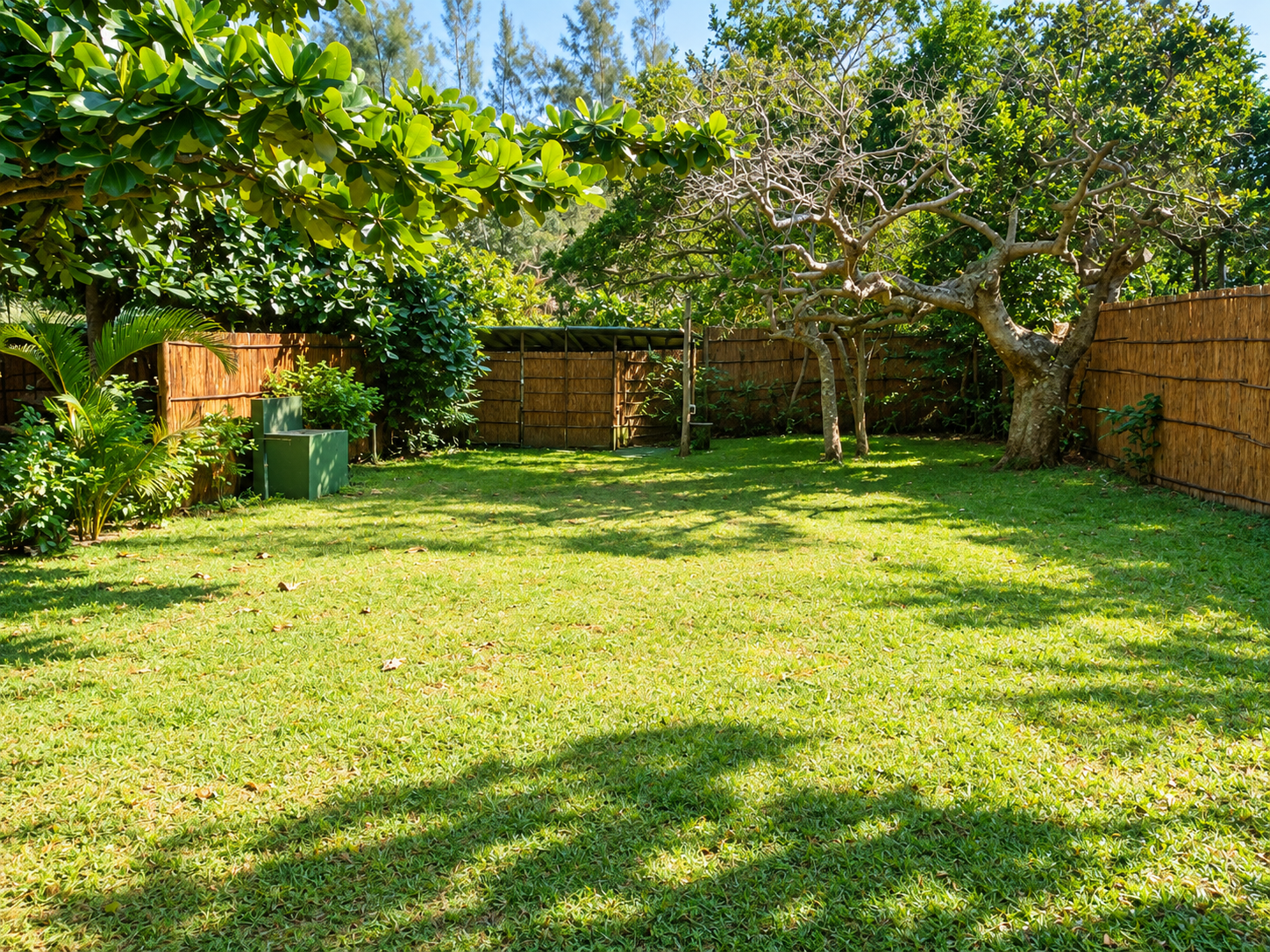 Wide private grassed campsite with shade trees and reed privacy fencing at Gala-Gala Eco Resort